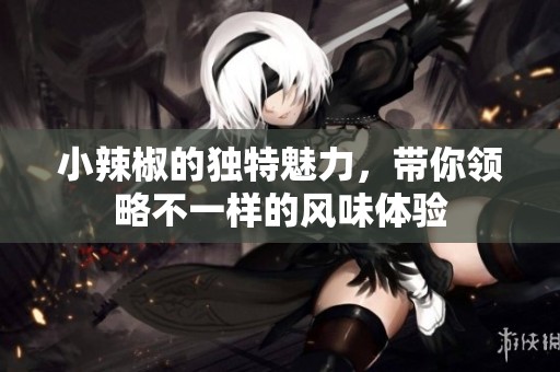 小辣椒的独特魅力，带你领略不一样的风味体验
