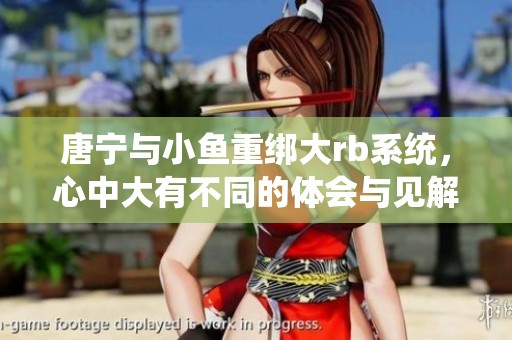 唐宁与小鱼重绑大rb系统，心中大有不同的体会与见解。