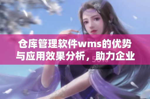 仓库管理软件wms的优势与应用效果分析，助力企业高效物流管理