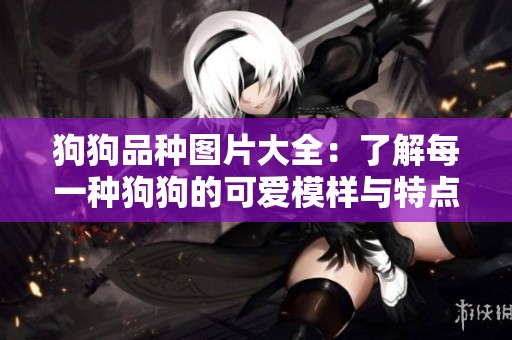 狗狗品种图片大全：了解每一种狗狗的可爱模样与特点