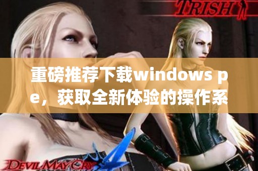 重磅推荐下载windows pe，获取全新体验的操作系统工具