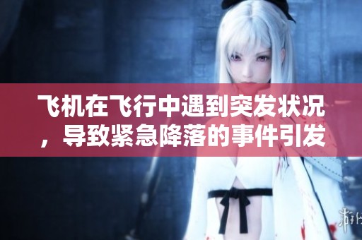 飞机在飞行中遇到突发状况，导致紧急降落的事件引发关注