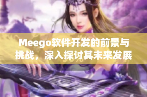 Meego软件开发的前景与挑战，深入探讨其未来发展方向