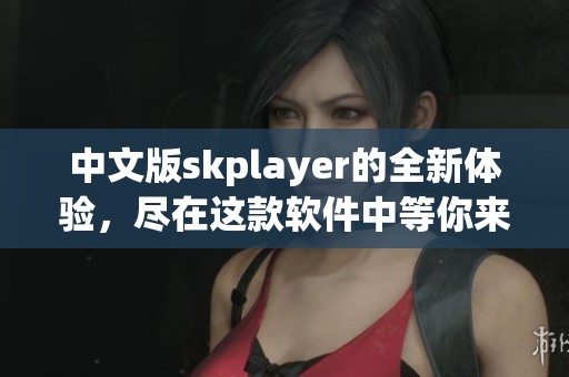 中文版skplayer的全新体验，尽在这款软件中等你来发现