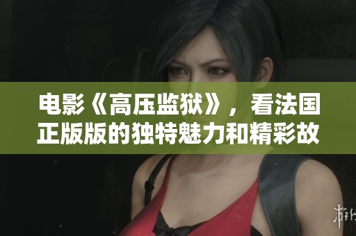 电影《高压监狱》，看法国正版版的独特魅力和精彩故事