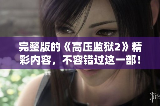 完整版的《高压监狱2》精彩内容，不容错过这一部！