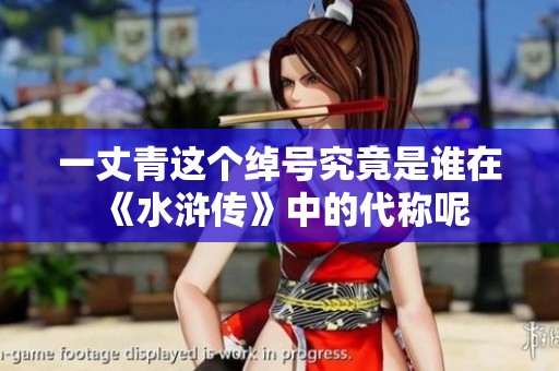 一丈青这个绰号究竟是谁在《水浒传》中的代称呢