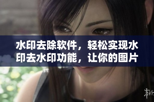 水印去除软件，轻松实现水印去水印功能，让你的图片更加完美无瑕