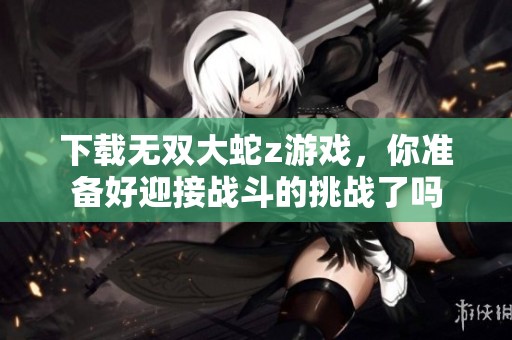 下载无双大蛇z游戏，你准备好迎接战斗的挑战了吗