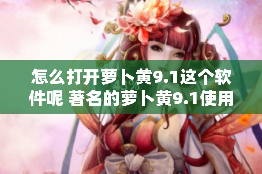 怎么打开萝卜黄9.1这个软件呢 著名的萝卜黄9.1使用教程详解