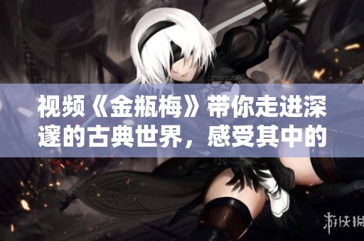 视频《金瓶梅》带你走进深邃的古典世界，感受其中的复杂人性与情感纠葛