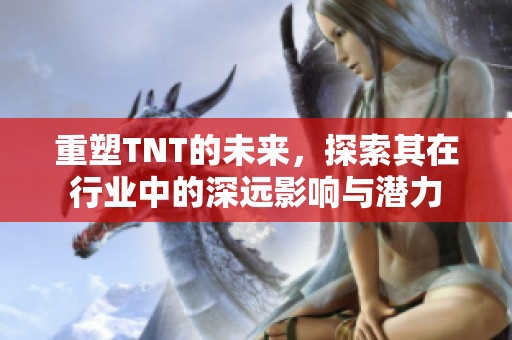 重塑TNT的未来，探索其在行业中的深远影响与潜力