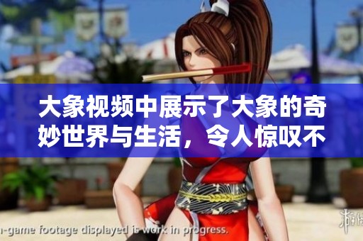 大象视频中展示了大象的奇妙世界与生活，令人惊叹不已，值得一看