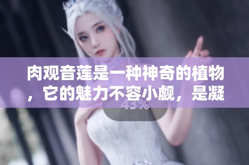肉观音莲是一种神奇的植物，它的魅力不容小觑，是凝聚自然之美的珍品。