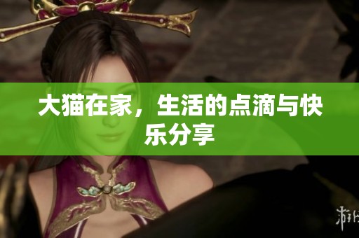 大猫在家，生活的点滴与快乐分享