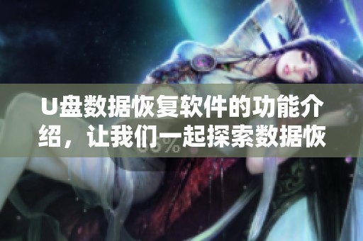 U盘数据恢复软件的功能介绍，让我们一起探索数据恢复的无限可能