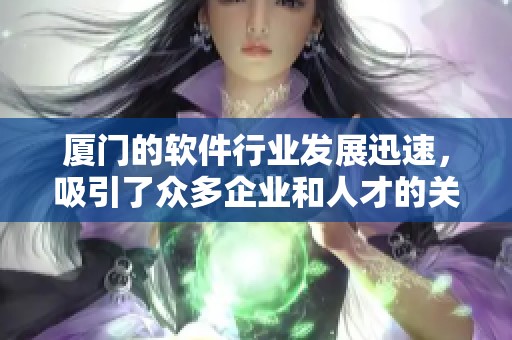 厦门的软件行业发展迅速，吸引了众多企业和人才的关注与参与