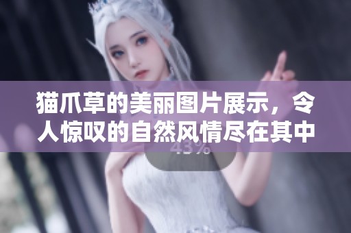 猫爪草的美丽图片展示，令人惊叹的自然风情尽在其中