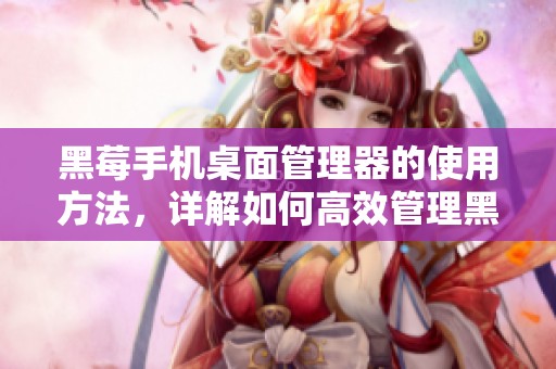 黑莓手机桌面管理器的使用方法，详解如何高效管理黑莓手机数据