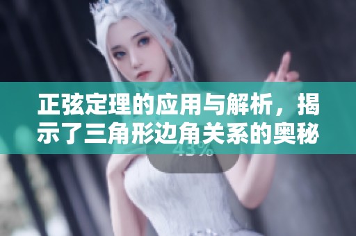 正弦定理的应用与解析，揭示了三角形边角关系的奥秘