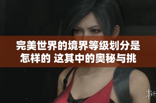 完美世界的境界等级划分是怎样的 这其中的奥秘与挑战你了解吗