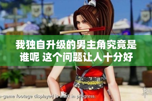 我独自升级的男主角究竟是谁呢 这个问题让人十分好奇