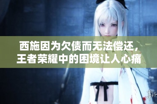 西施因为欠债而无法偿还，王者荣耀中的困境让人心痛