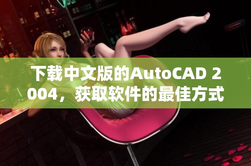下载中文版的AutoCAD 2004，获取软件的最佳方式是这里