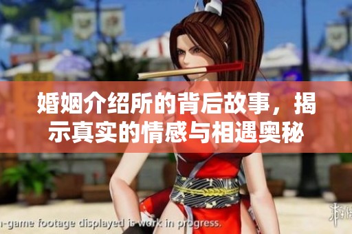婚姻介绍所的背后故事，揭示真实的情感与相遇奥秘
