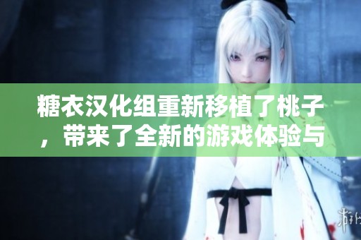 糖衣汉化组重新移植了桃子，带来了全新的游戏体验与乐趣