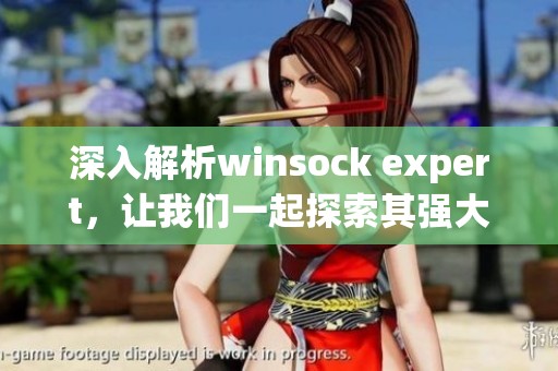 深入解析winsock expert，让我们一起探索其强大功能与应用技巧