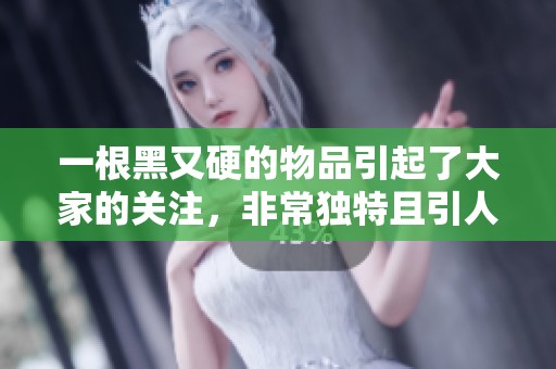 一根黑又硬的物品引起了大家的关注，非常独特且引人好奇