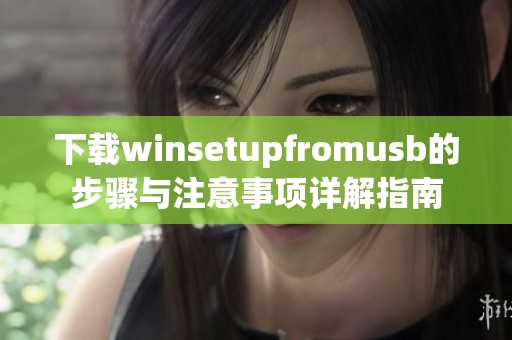 下载winsetupfromusb的步骤与注意事项详解指南