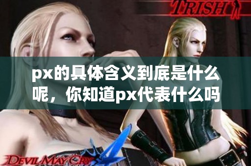 px的具体含义到底是什么呢，你知道px代表什么吗