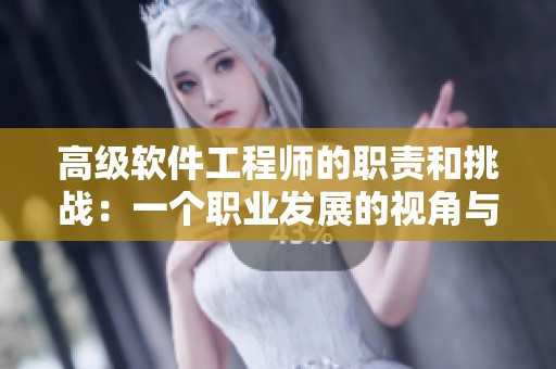 高级软件工程师的职责和挑战：一个职业发展的视角与分析