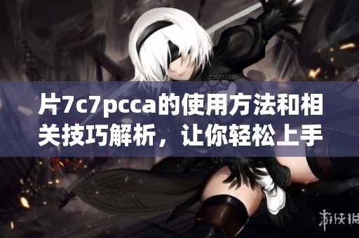 片7c7pcca的使用方法和相关技巧解析，让你轻松上手这款工具。