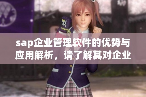 sap企业管理软件的优势与应用解析，请了解其对企业发展的影响
