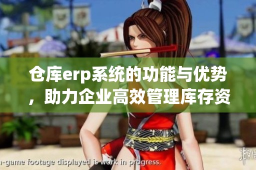 仓库erp系统的功能与优势，助力企业高效管理库存资源