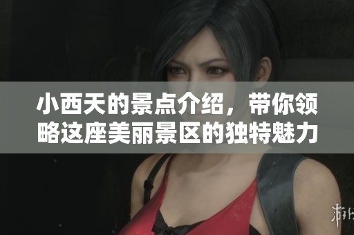 小西天的景点介绍，带你领略这座美丽景区的独特魅力