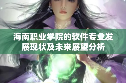 海南职业学院的软件专业发展现状及未来展望分析