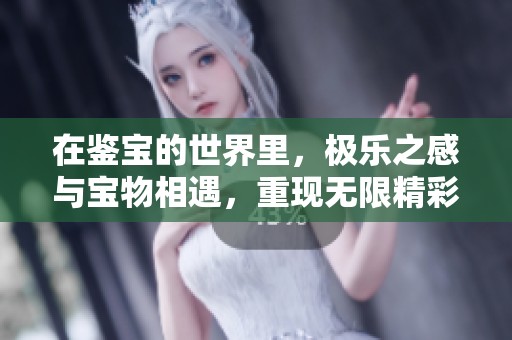 在鉴宝的世界里，极乐之感与宝物相遇，重现无限精彩