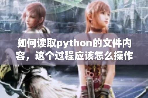 如何读取python的文件内容，这个过程应该怎么操作呢