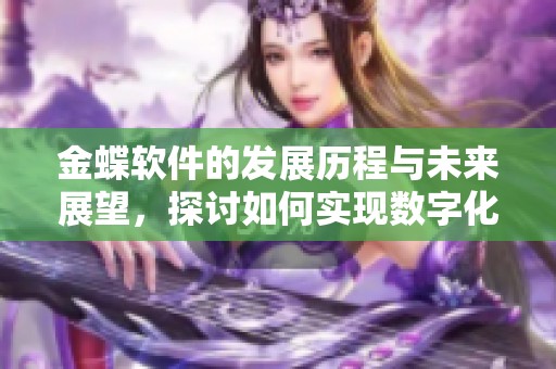 金蝶软件的发展历程与未来展望，探讨如何实现数字化转型与企业管理的融合。