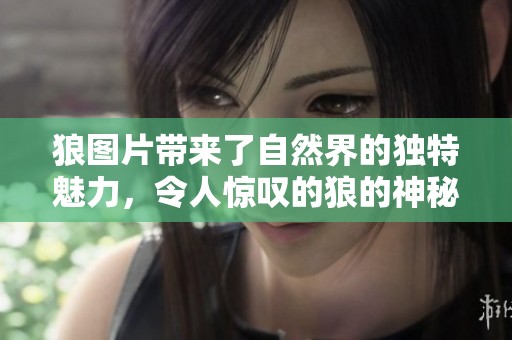 狼图片带来了自然界的独特魅力，令人惊叹的狼的神秘形象展示。