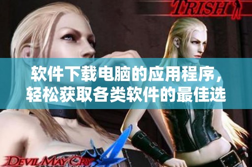 软件下载电脑的应用程序，轻松获取各类软件的最佳选择