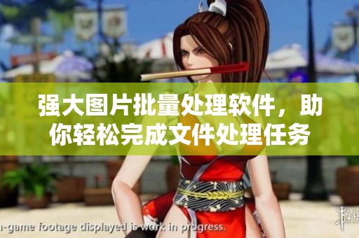 强大图片批量处理软件，助你轻松完成文件处理任务