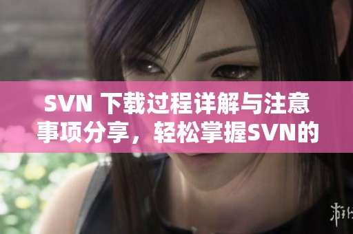 SVN 下载过程详解与注意事项分享，轻松掌握SVN的使用技巧和方法。