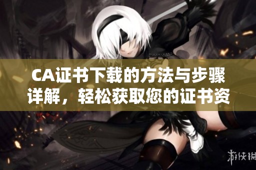 CA证书下载的方法与步骤详解，轻松获取您的证书资料