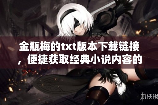 金瓶梅的txt版本下载链接，便捷获取经典小说内容的方式