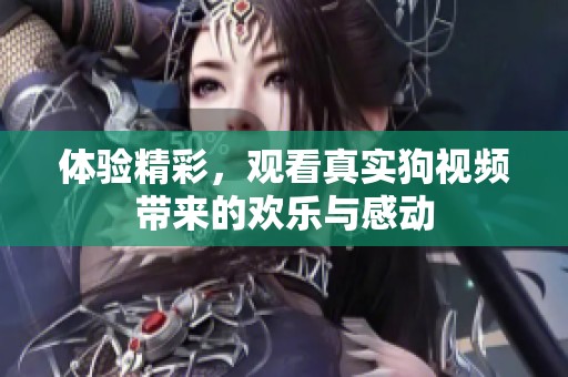 体验精彩，观看真实狗视频带来的欢乐与感动